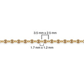 14/20 gold-filled chain with measurements on a white background