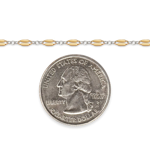 Gold filled and silver chain next to a quarter on a white background