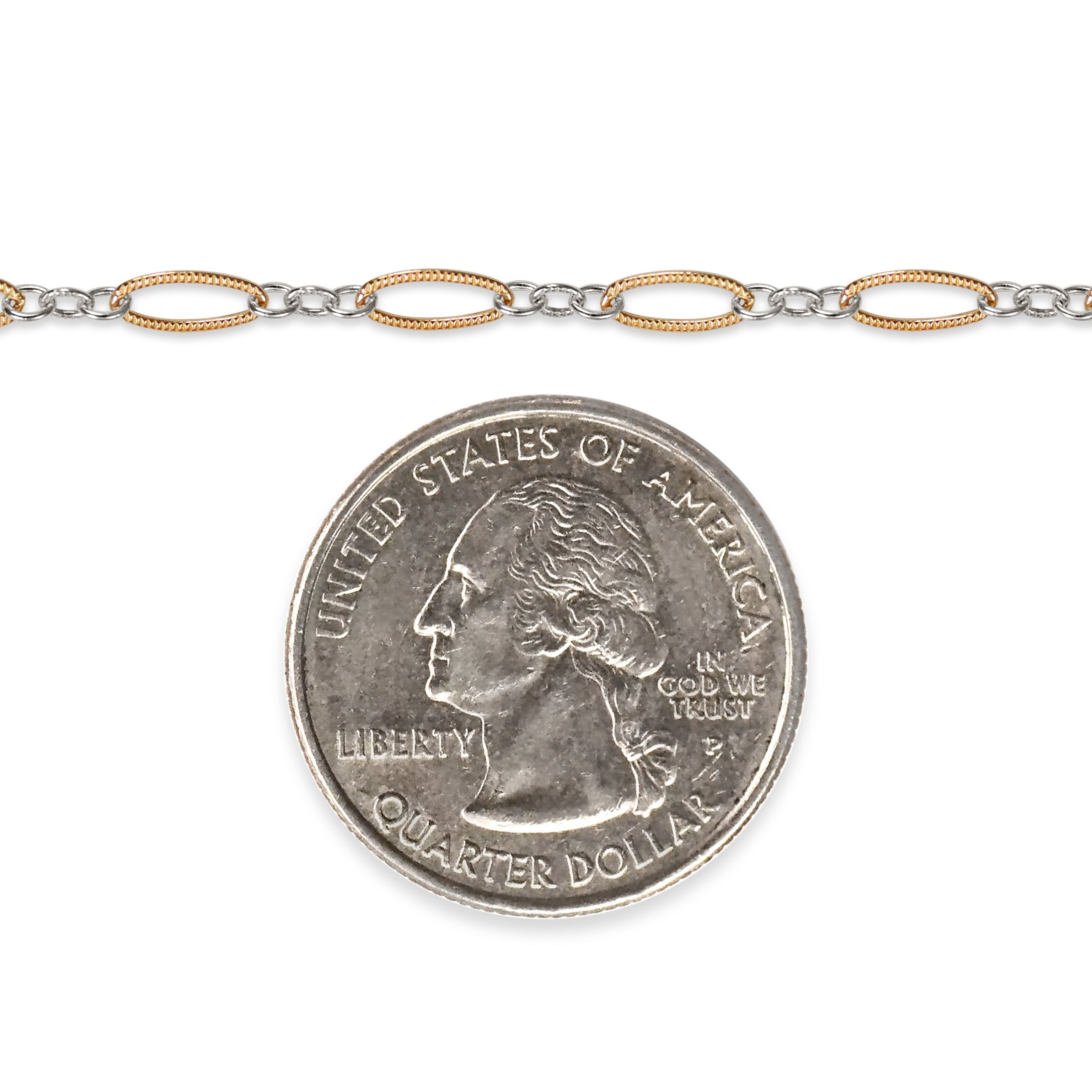 Gold filled and silver chain with a quarter dollar coin on a white background