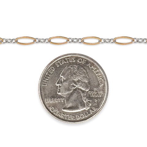 Gold filled and silver chain with a quarter dollar coin on a white background