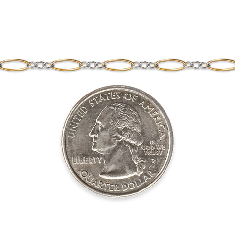 Gold filled and silver chain next to a quarter on a white background