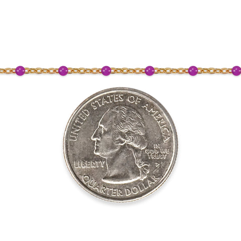 Gold chain with purple beads and a quarter dollar coin on a white background