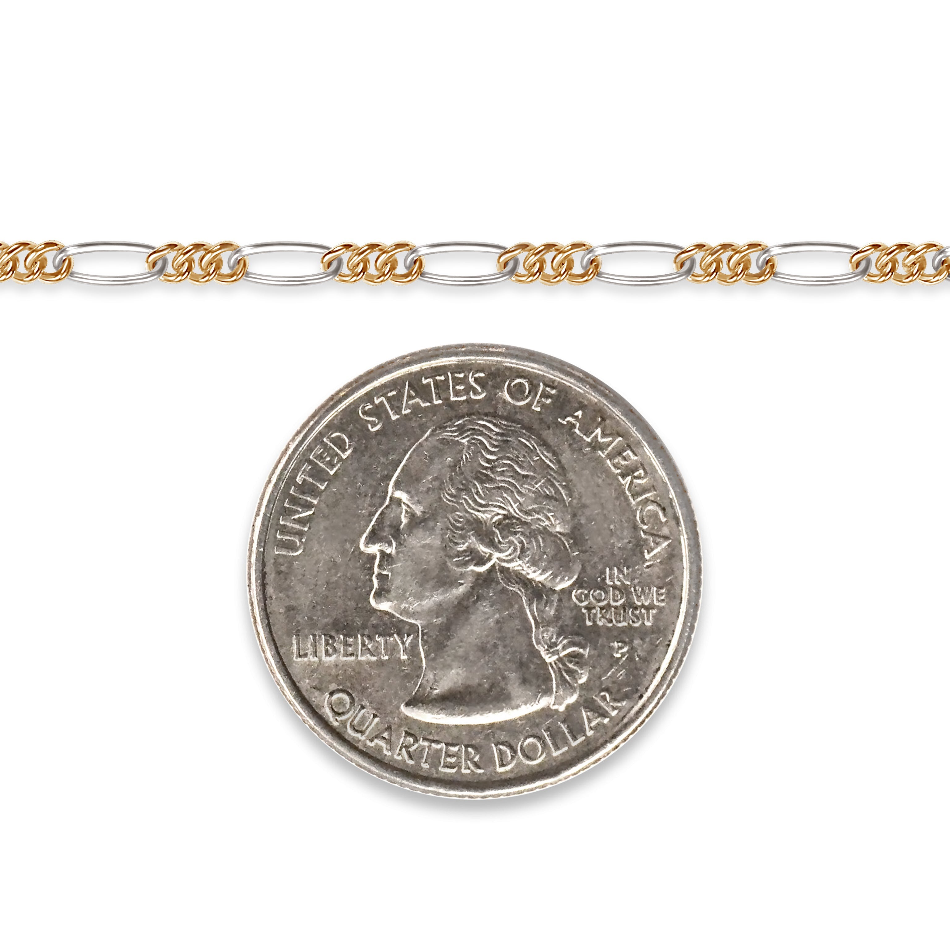 Gold filled and silver chain with a quarter dollar coin on a white background