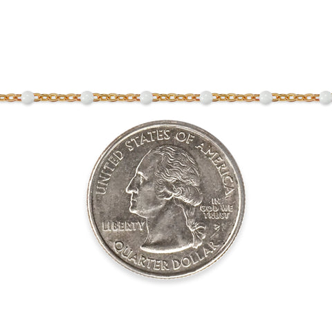 Necklace with a coin charm on a white background