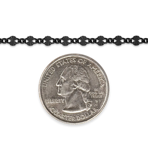Sterling silver titanium plated chain next to a quarter dollar coin on a white background
