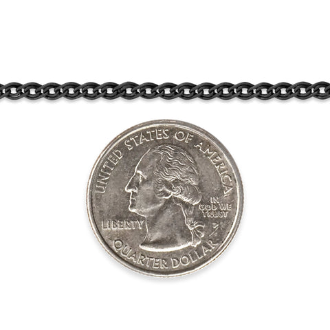 Sterling silver titanium plated chain with a quarter dollar coin on a white background