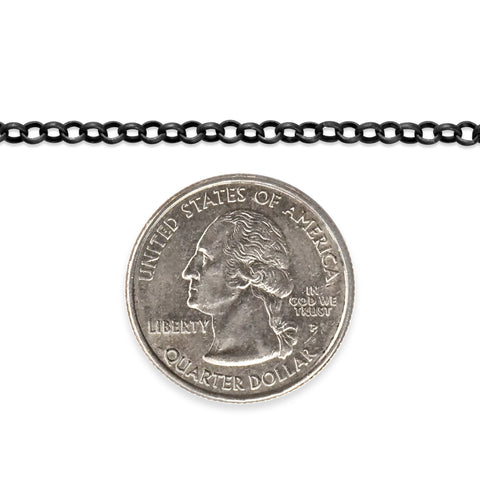Sterling silver titanium plated chain next to a quarter dollar coin on a white background