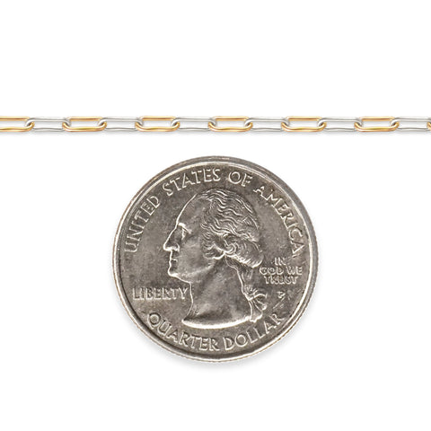 Mixed-metal, gold-filled and sterling silver chain next to a quarter on a white background