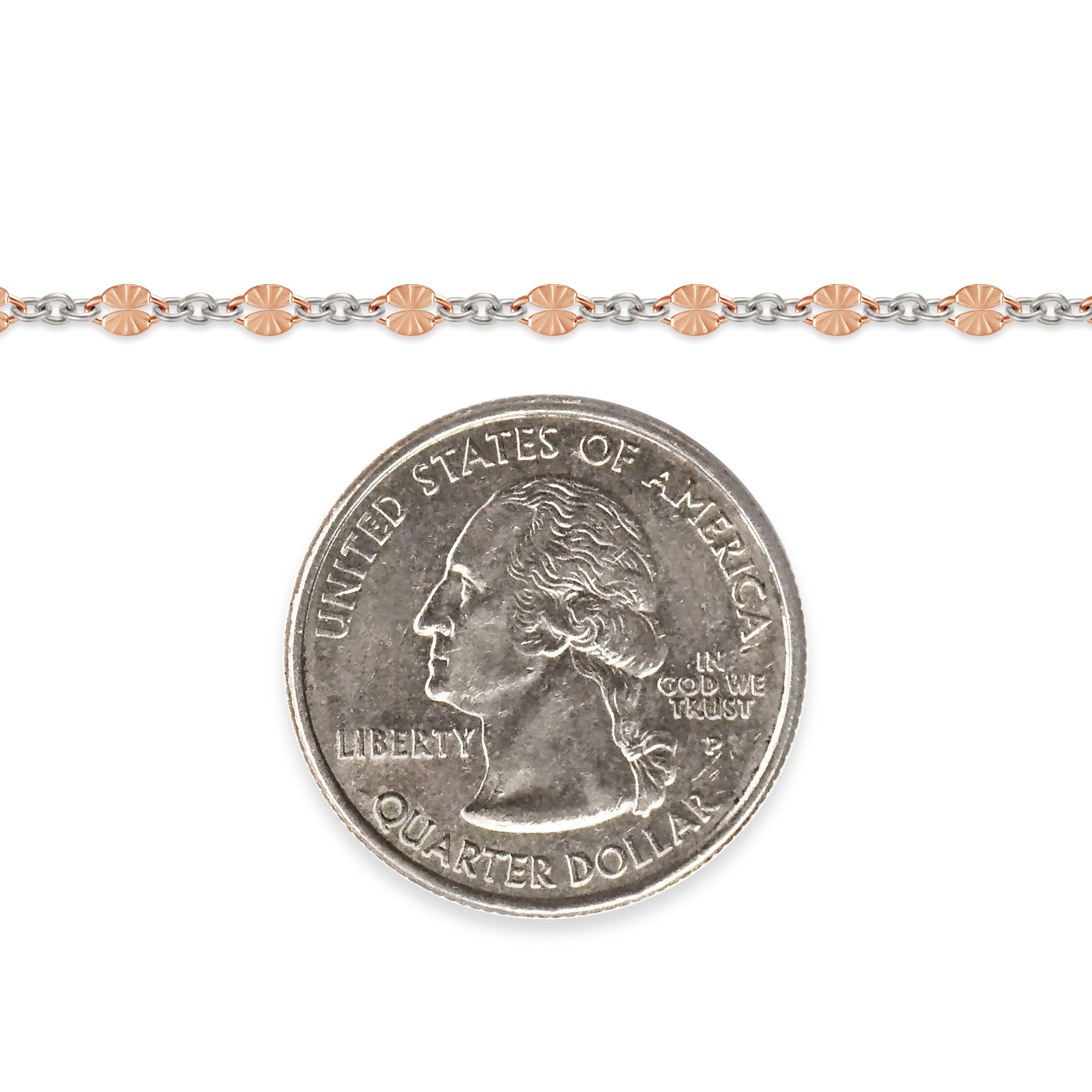 Rose gold-filled and sterling silver chain next to a quarter on a white background
