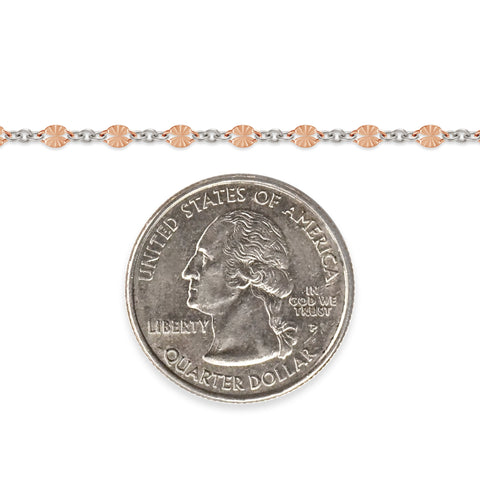 Rose gold-filled and sterling silver chain next to a quarter on a white background