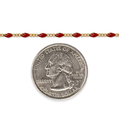 Gold filled chain with red enamel and a quarter dollar coin on a white background