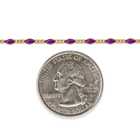 Gold filled chain with purple enamel and a quarter coin underneath on a white background