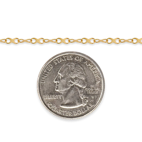 Gold-filled chain with a quarter dollar coin on a white background