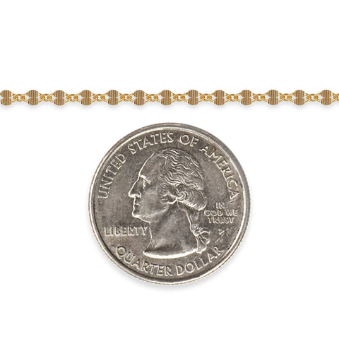 14/20 gold-filled chain next to a quarter dollar coin on a white background