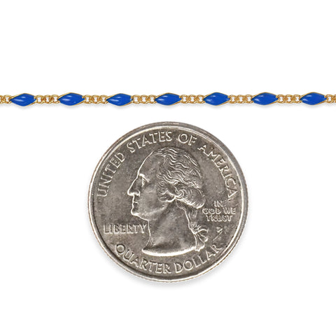 Gold filled chain with blue enamel and a quarter dollar coin on a white background