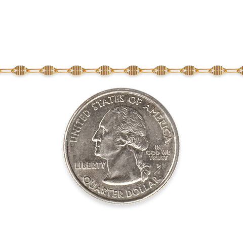 14/20 gold-filled chain next to a quarter dollar coin on a white background