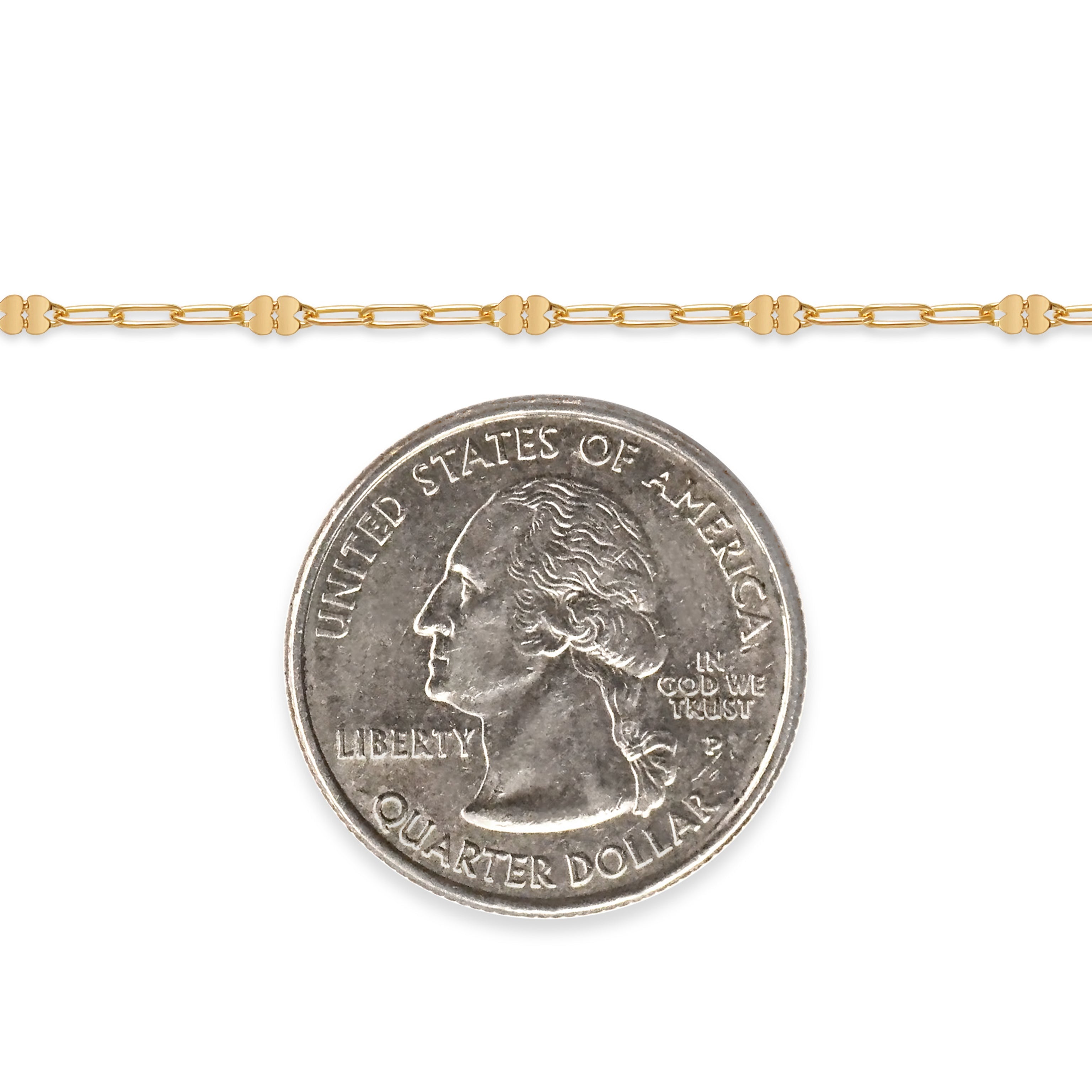 Gold-filled chain with a quarter dollar coin on a white background