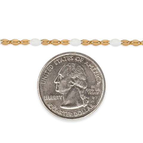 Bracelet with a quarter dollar coin charm on a white background