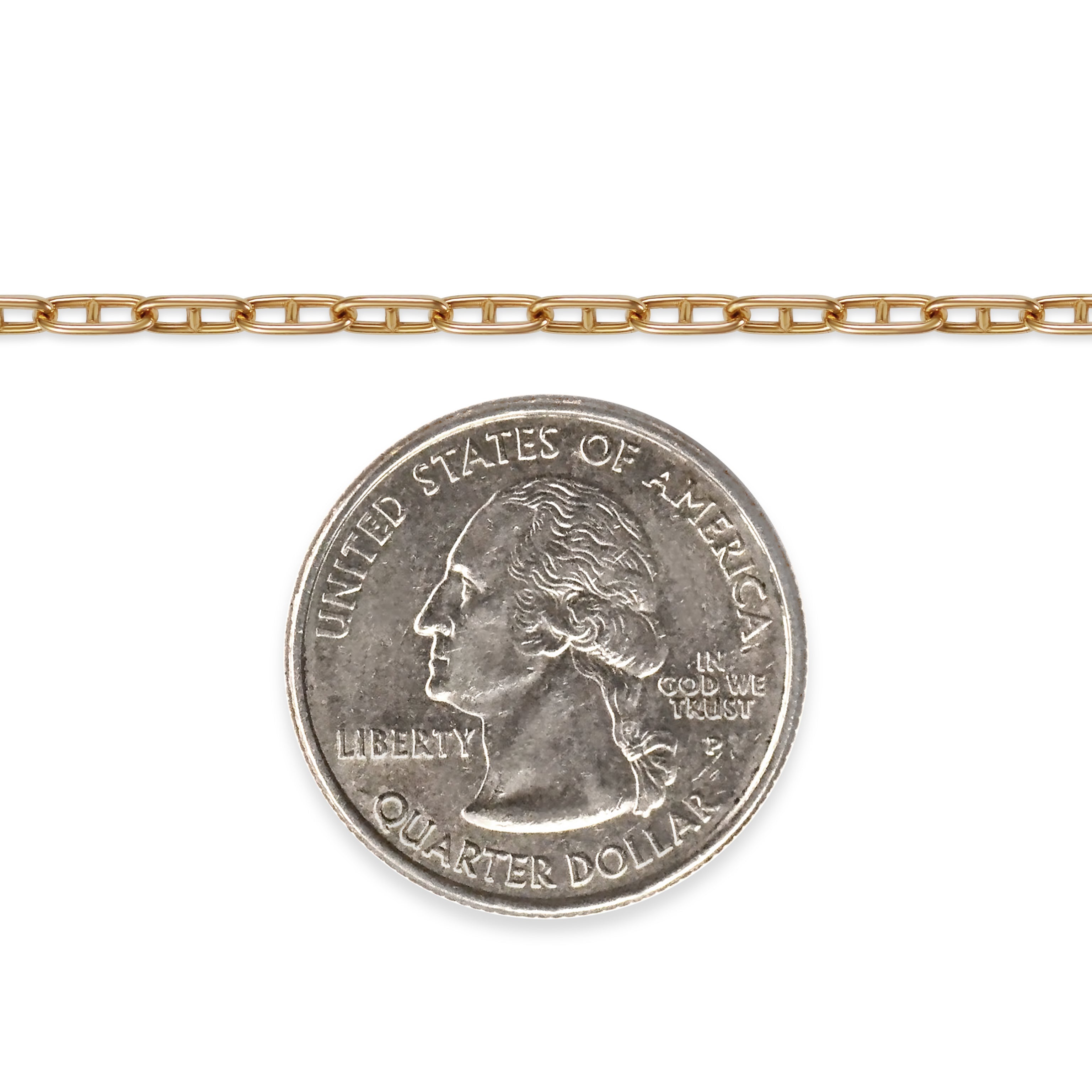 Gold filled mariner chain with a quarter dollar coin on a white background