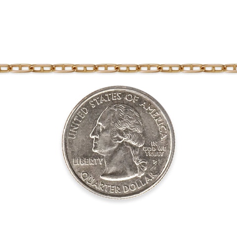 Gold filled mariner chain with a quarter dollar coin on a white background