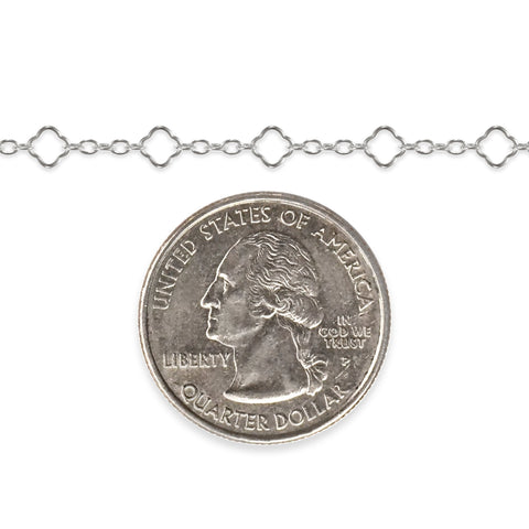 Silver chain with a quarter dollar coin on a white background