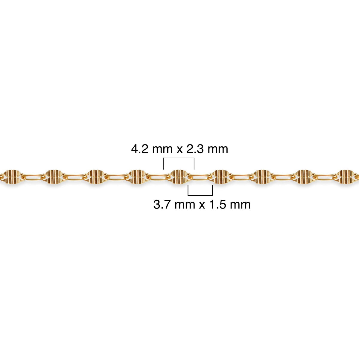 14/20 gold-filled chain with measurements on a white background